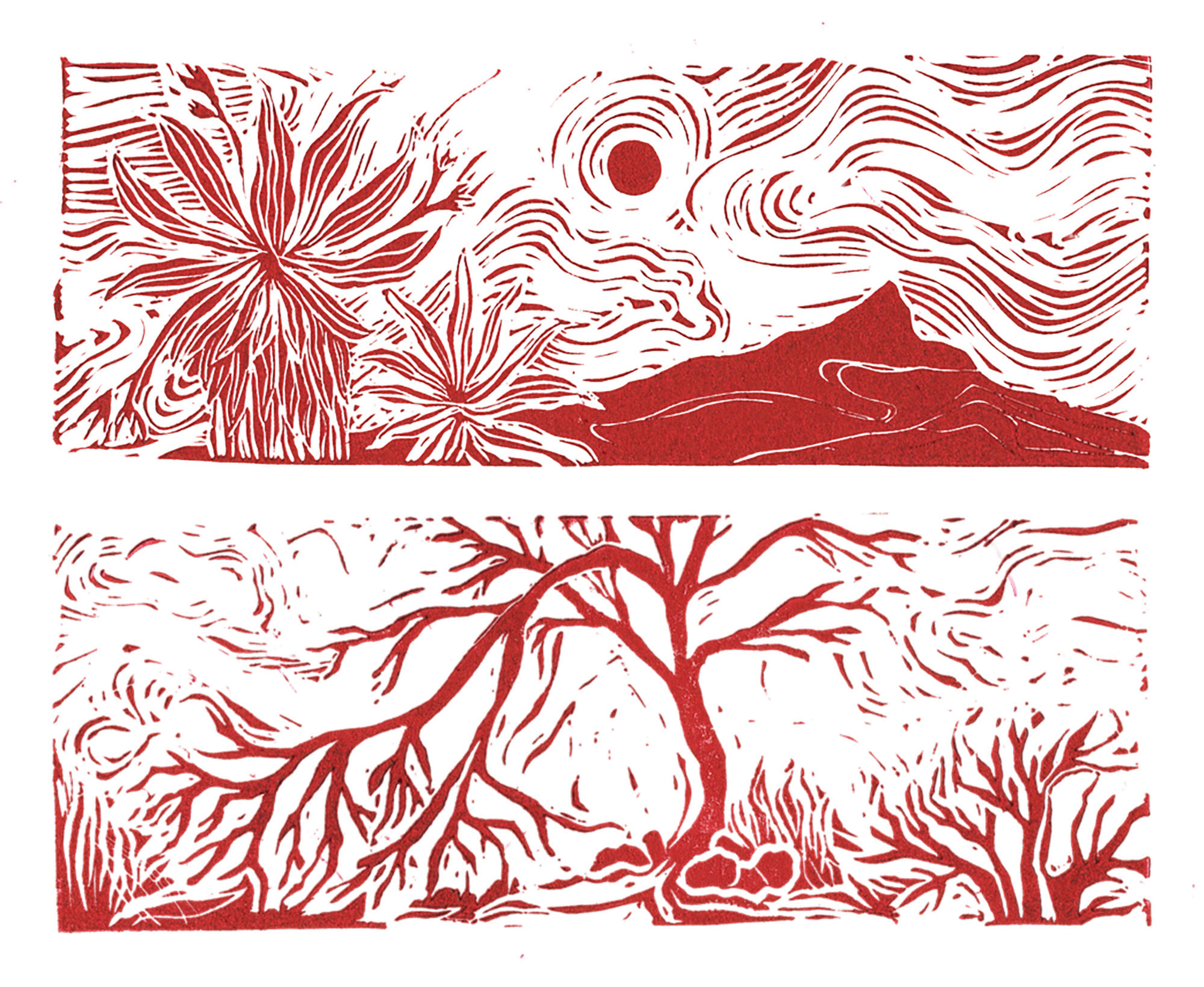 Dayana Corzo Joya, ‘Páramo’ from the Paramofuturismos collection