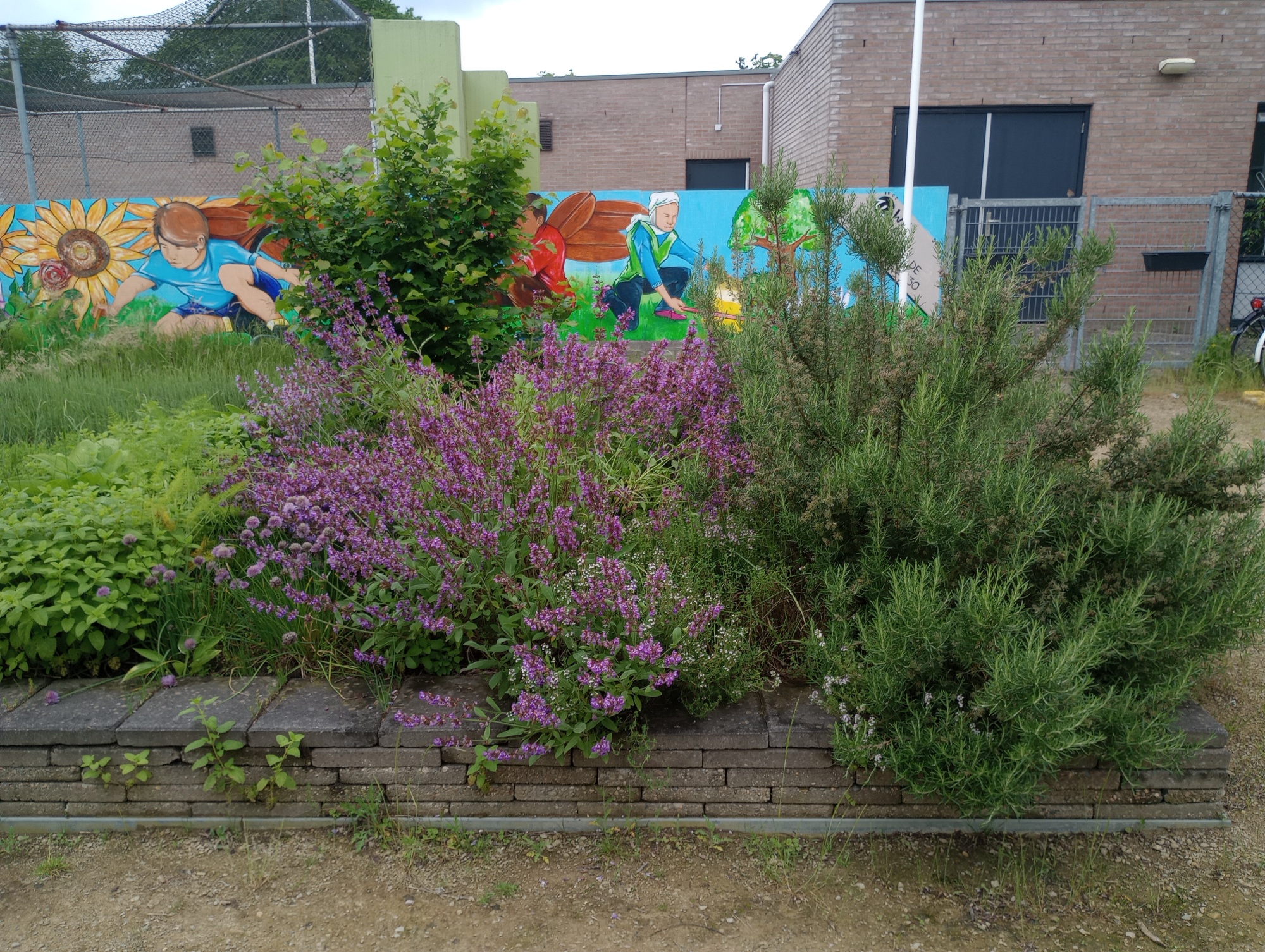 <p>Wij West residency “Juggling with Nature” (2) by Valentina Solari, 2024. Photo by Valentina Solari.</p>